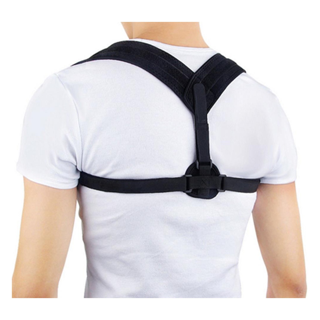 AXIGN | Back Support