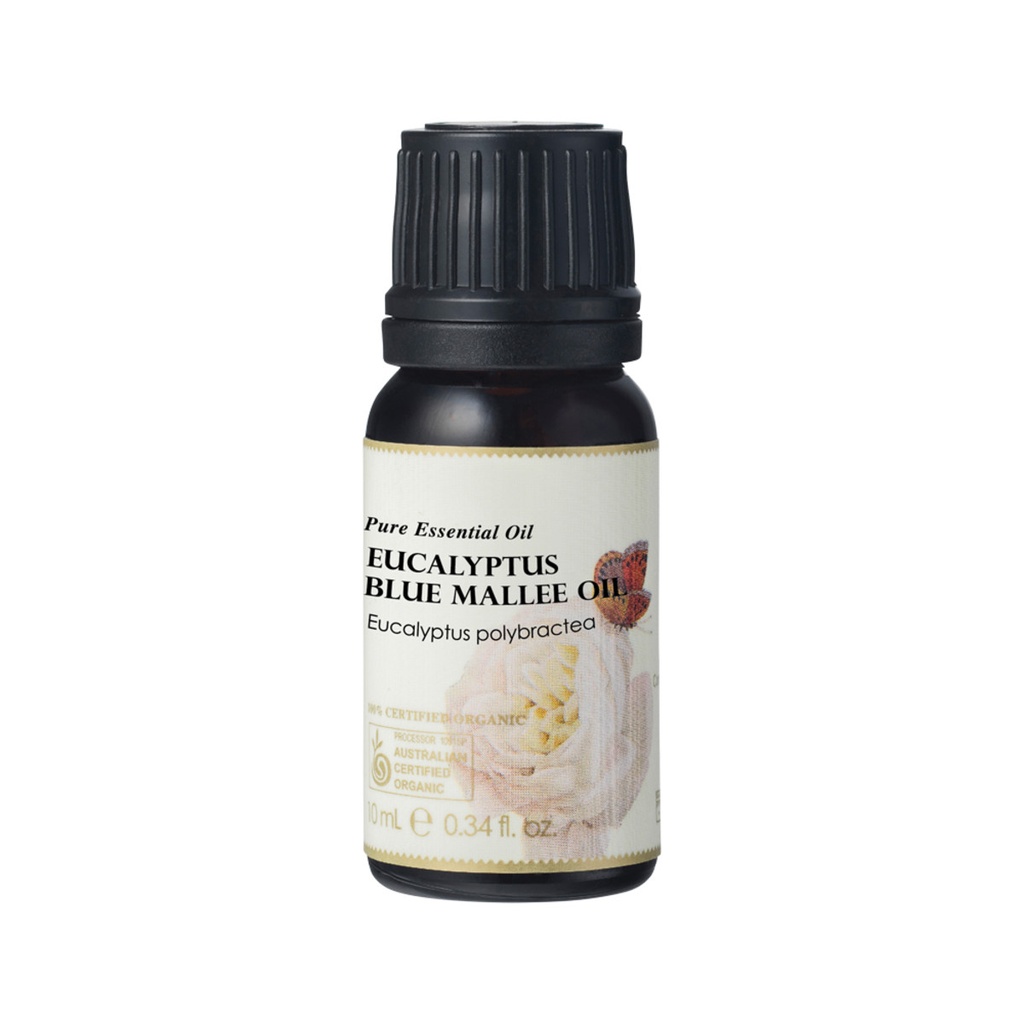 AUSGANICA | Organic Essential Oil Eucalyptus Blue Mallee 10ml