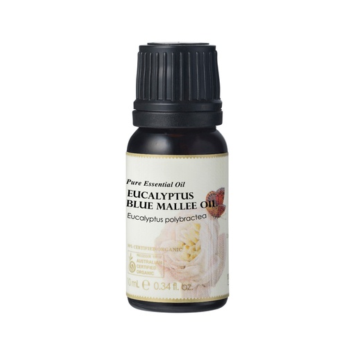 AUSGANICA | Organic Essential Oil Eucalyptus Blue Mallee 10ml