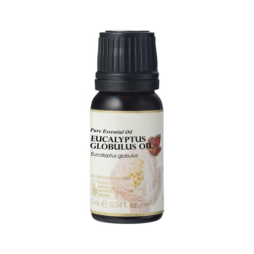 AUSGANICA | Organic Essential Oil Eucalyptus Globulus 10ml