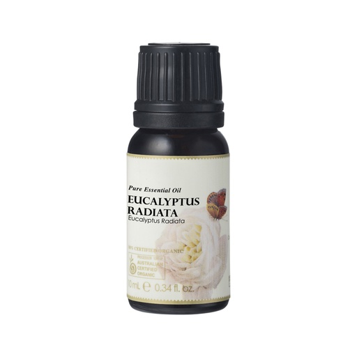 AUSGANICA | Organic Essential Oil Eucalyptus Radiata 10ml