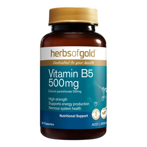 HERBS OF GOLD | 維生素 B5 500mg 60c