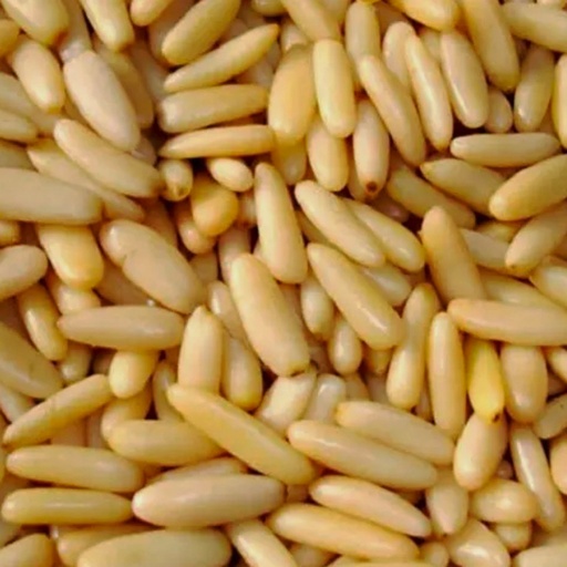 CERTIFIED ORGANIC | Pine Nuts