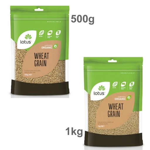 LOTUS | Wheat Grain Organic
