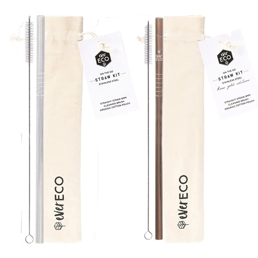 EVER ECO | Stainless Steel Straw Kit Straight